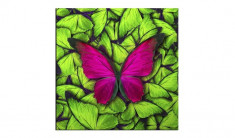 Tablou Sticla Glasspik Butterfly Green, 20x20 cm foto