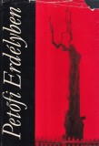 David Gyula, Miko Imre - Petofi Erdelyben