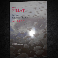 DINU PILLAT - MOZAIC ISTORICO LITERAR SECOLUL XX (2013)