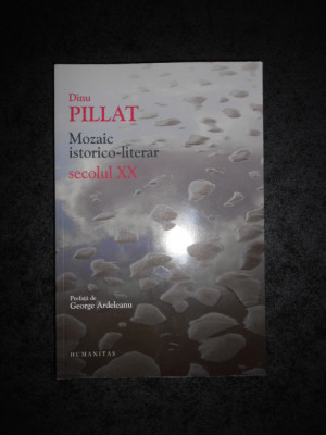 DINU PILLAT - MOZAIC ISTORICO LITERAR SECOLUL XX (2013) foto