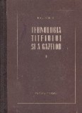 Tehnologia titeiului si a gazelor, Volumul al II-lea