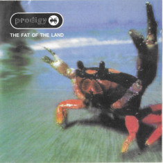CD Prodigy – The Fat Of The Land
