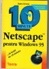 Netscape pentru Windows 95