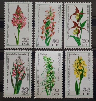 Germania DDR 1976 orhidee flori serie 6v Nestampilata foto