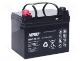 Acumul: plumb-acid 12V 36Ah AGM nu necesită &icirc;ntreţinere