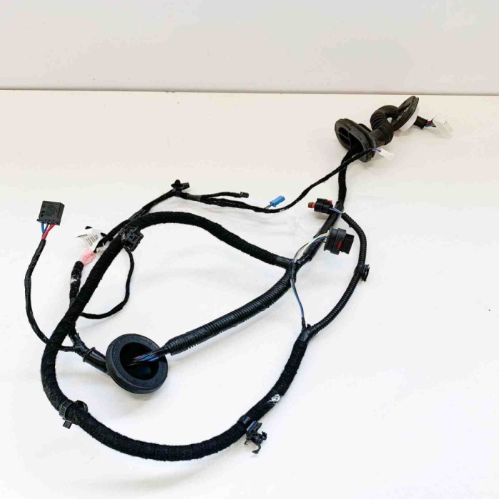 Cablaj ușă dreapta spate TESLA MODEL 3 2018 OEM: 2067966-00-A 10884321