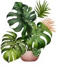 Sticker decorativ, Floare, Verde, 72 cm, 1261STK-6
