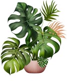 Sticker decorativ, Floare, Verde, 72 cm, 1261STK-6