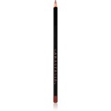 Anastasia Beverly Hills Lip Liner creion contur buze culoare Rosewood 1,49 g