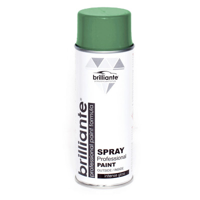 Spray Vopsea Brilliante, Verde Inchis, 400ml foto