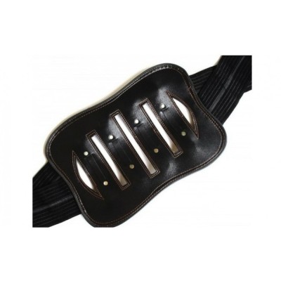 Brau pentru Zona Lombara foto