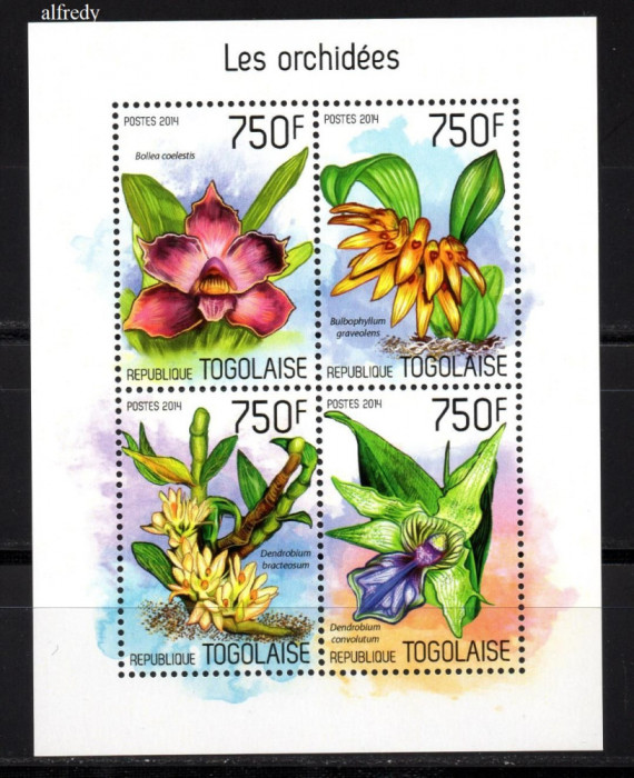 TOGO 2014, Flora, Orhidee, neuzat, MNH