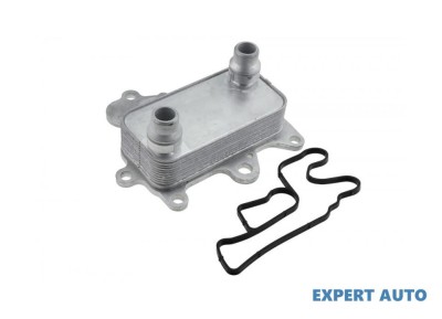 Radiator racire ulei Fiat 500 L (2012-&amp;gt;) #1 foto