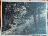 Fotografie, peisaj dintr-un sat din Romania, perioada interbelica