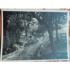 Fotografie, peisaj dintr-un sat din Romania, perioada interbelica
