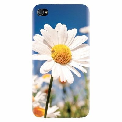 Husa silicon pentru Apple Iphone 4 / 4S, Daisies Field Flowers foto