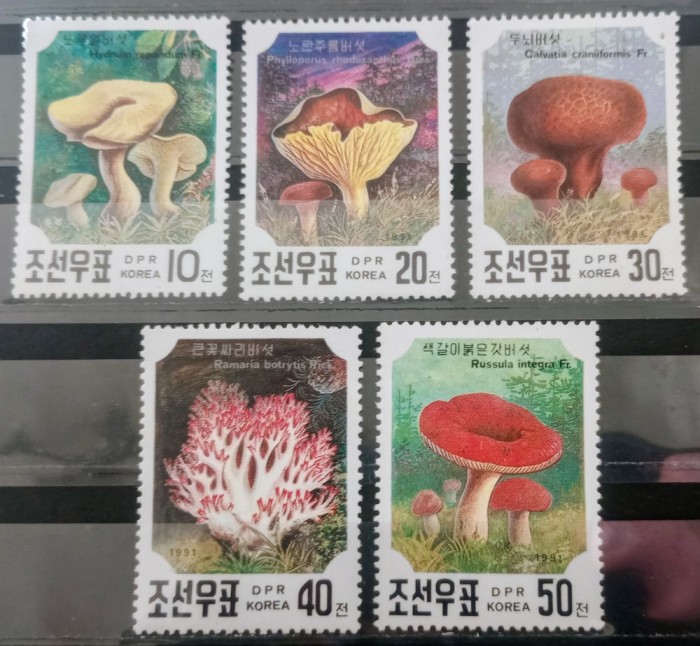 Coreea 1991 ciuperci serie 5v nestampilata