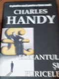 EPOCA IRATIUNII ,ELEFANTUL SI PURICELE CHARLES HANDY