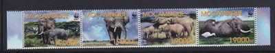 MOZAMBIC 2002 WWF ELEFANTI foto