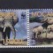 MOZAMBIC 2002 WWF ELEFANTI