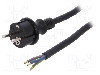 Cablu alimentare AC, 2m, 3 fire, culoare negru, cabluri, CEE 7/7 (E/F) mufa, SCHUKO mufa, PLASTROL - W-97275 foto
