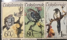 (CEHOSLOVACIA 1 ) Timbre serii Straine fauna Pasari