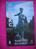 HOPCT 15207 STATUIE PETER PAN-/KIRRIE MUIR-SCOTIA UK --CARTE POSTALA RADIO AMATOR / RADIOAMATORI -CIRCULATA