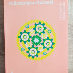 Psihoterapia eficienta - Irina Holdevici, Barbara Crăciun