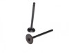 Set 4 Supape Admisie Evacuare Moto 250cc (2 Pistoane) - MX_NEW AY35266