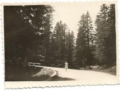 C698 Fotografie Cuibul Dorului 1939 Brasov poza romaneasca veche interbelica foto