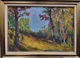 Peisaj toamnă - Dorin Barbu