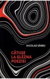 Catuse la glezna poeziei - Nicolae Sarbu