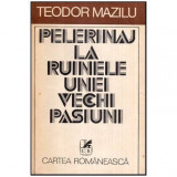 Teodor Mazilu - Pelerinaj la ruinele unei vechi pasiuni - 116604