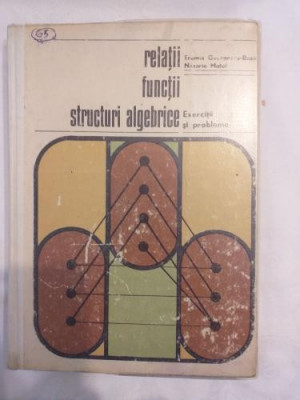 E. Georgescu - Buzau N. Matei - Relatii functii structuri algebrice foto