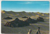bnk cp Algeria - Corturi in desert - necirculata
