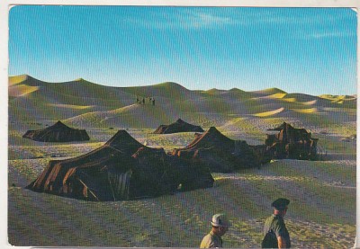 bnk cp Algeria - Corturi in desert - necirculata foto