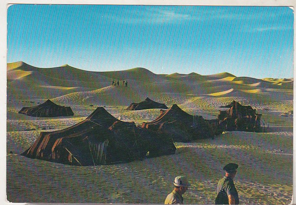 bnk cp Algeria - Corturi in desert - necirculata