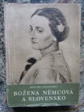 Božena Němcov&aacute; a Slovensko Bohumil Haluzick&yacute; - IN LIMBA CEHA