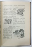 FABRICI DE CHERESTEA , INSTALAREA SI EXPLOATAREA LOR de D.A. SBURLAN , 1934 , DEDICATIE *