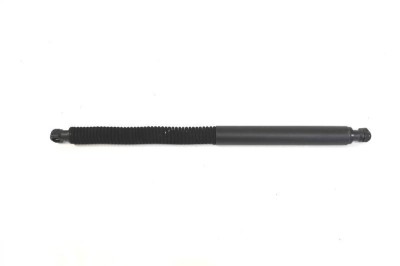 Amortizor haion st&amp;acirc;nga BMW X3 G01, F97 2018 OEM: 7397319 3706605 foto