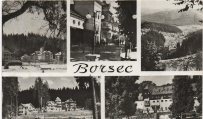 CPI B 11064 CARTE POSTALA - BORSEC, MOZAIC foto