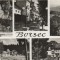 CPI B 11064 CARTE POSTALA - BORSEC, MOZAIC