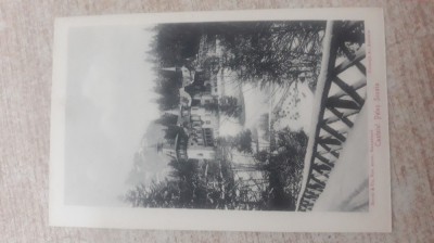 Colecția Al.Antoniu- Castelul Peles Sinaia. foto