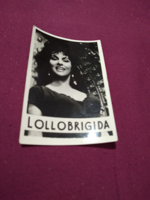 POZA ACTRITA LOLLOBRIGIDA foto