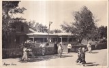 Bugaz. Gara (necirculata)