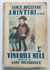 Iancu Brezeanu - Amintiri... Vinurile mele pritocite de Gaby Michailescu (1939) foto