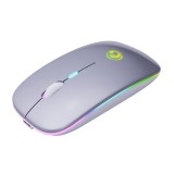 Mouse Gaming Wireless iMICE E-1300, Reincarcabil, Iluminare RGB Silver, Optica, 1000-2000