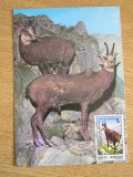 M5 - maxima - tematica fauna - animale 5 - prima zi a emisiunii sau expozitii, Romania de la 1950