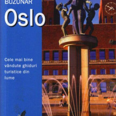Ghid de buzunar Oslo - Paperback brosat - *** - Aquila