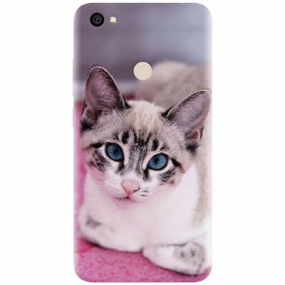Husa silicon pentru Xiaomi Redmi Note 5A, Siamese Kitty foto